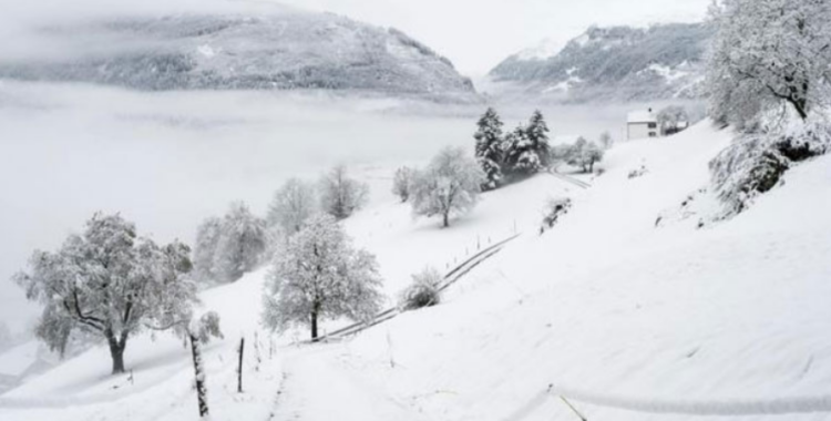 Suedi/ Temperaturat arrijnë në -43gradë Celcius, disa të vdekur