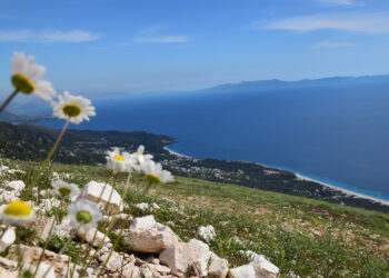 Ligji i ‘Investimeve Strategjike’ propozohet të shtyhet për herë të 3-të