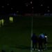 VIDEO/ Fiken dritat në stadium, pezullohet ndeshja e Kupës së Mbretit