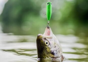 Këto shenja horoskopi do të bien viktimë e mashtrimit ditën e sotme