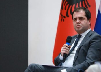 Bujqësia shembull për vjedhjen, Bylykbashi: Rama po…