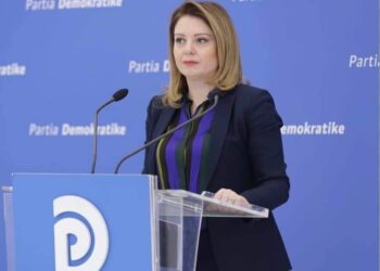 Profesionet e lira, deputetja e PD-së: Tatimi do të krijojë pasoja