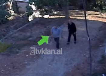 VIDEO/ Fqinji vret pabesisht të moshuarin me thikë, publikohen pamjet