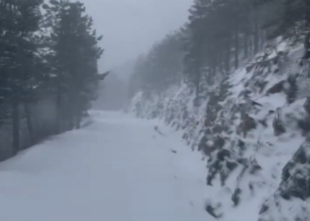 Ngrica, borë deri në 1 metër dhe temperatura -10 gradë, ç’po ndodh… (VIDEO)