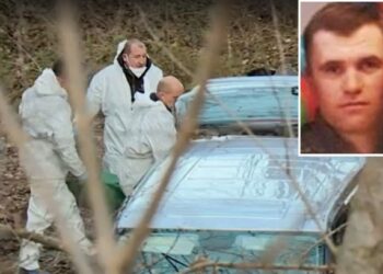 Misteri i vrasjes së Bledar Dedjas, si u fut në kurth kopshtari shqiptar