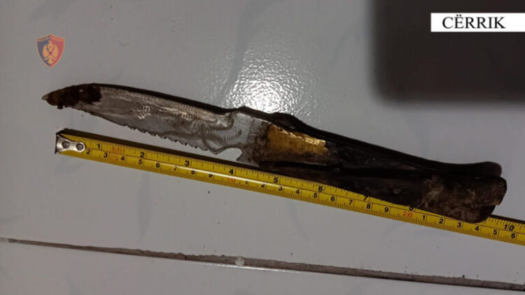 Plagosi me mjet prerës të riun, pranga 51-vjeçarit në Çërrik