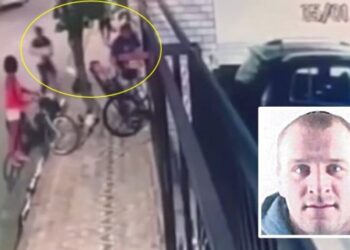 VIDEO/ Momenti i vrasjes së mafiozit serb në sy të gruas e fëmijës, publikohen pamjet