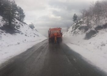 Vrasësi shqiptar dhe lidhjet me mafien e cigareve kontrabandë