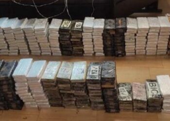 Me 300 kg kokainë në kamion, pranga dy shqiptarëve në Spanjë