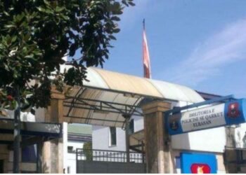 Njëri rrahu gruan, tjetri prindërit arrestohen tre persona në Elbasan