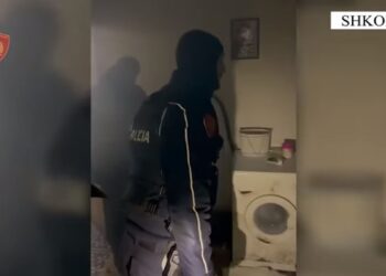 Qëlloi me armë natën, momenti kur arrestohet i moshuari në Shkodër