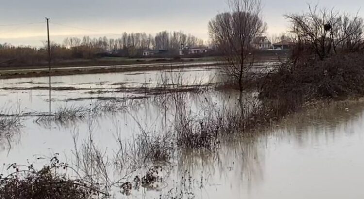 Lumi Ishëm del nga shtrati, dhjetra hektarë të përmbytur