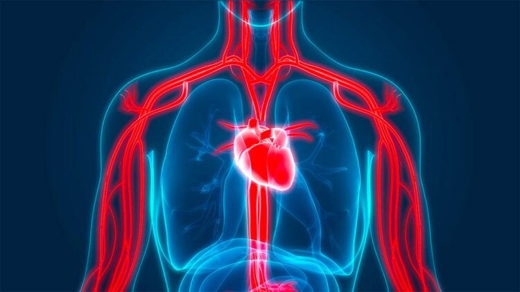 Si ndikon diabeti tek tensioni i lartë i gjakut! Çfarë duhet të bëni
