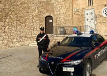 I dënuar me 3 vjet e 11 muaj burg për trafik droge, kapet shqiptari