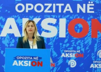 Ina Zhupa: Margariti u përdor dhe u flak