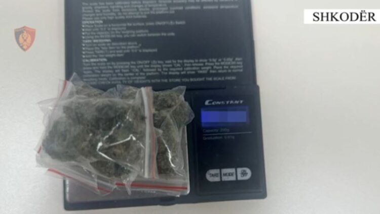 Shiste kanabis në zona të ndryshme të Shkodrës, arrestohet 22-vjeçari