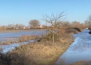 Lumi Ishëm doli nga shtrati, qindra hektarë tokë bujqësore nën ujë