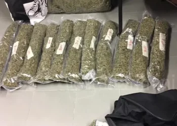 Iu sekuestruan mbi 17 kg marijuanë, pranga 2 shqiptarve