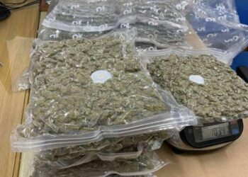 Kapet me 42 kg marijuanë, arrestohet 21-vjeçari shqiptar në Qipro