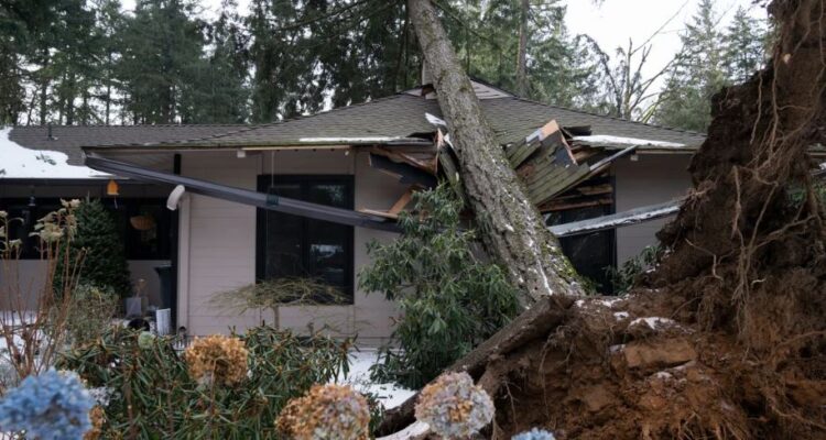 Moti i ashpër në SHBA, të paktën 40 persona kanë humbur jetën