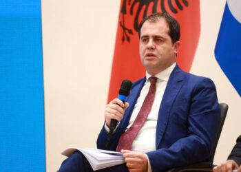 Bylykbashi: Është prishur ndarja mes pushtetit publik dhe…