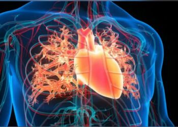 Inteligjenca artificiale mund të parashikojë infarktet e zemrës