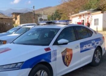 Plagosja në Krujë, identifikohet autori