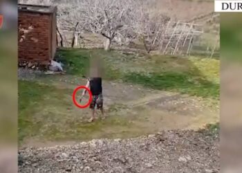 EMRI/ Kërcënoi babain se do e vriste me sëpatë, arrestohet 35-vjeçari