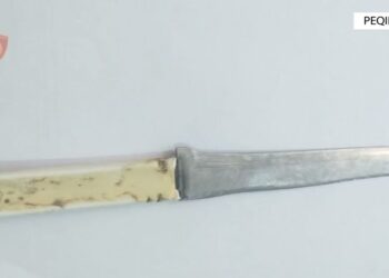 EMRI/ Dhunoi bashkëshorten dhe vjehrrën, arrestohet 40-vjeçari