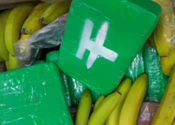 Trafik droge nga Amerika Latine në Europë, mes të kapurve edhe 1 shqiptar