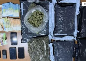 Trafikonin drogë përmes postës nga SHBA, arrestohen dy persona