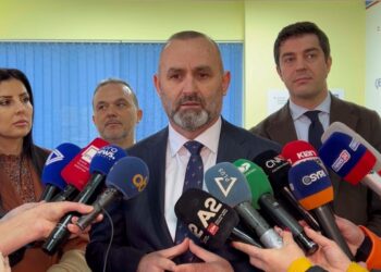 Ligji i amnistisë, Manja kërkon votat e deputetëve të opozitës