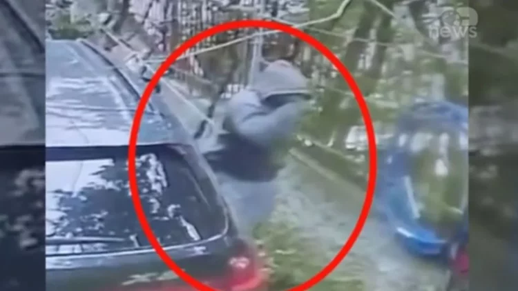 VIDEO/ Me kapuç në kokë, ja momenti kur hajduti vjedh pistoletën e gardistit