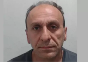 Me dy ferma kanabisi, dënohet me 8 vjet burg shqiptari/ Detajet