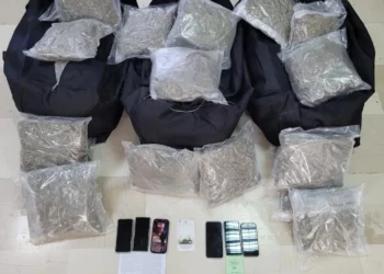 Vinin nga kufiri shqiptar, sekuestrohen mbi 81 kg marijuanë