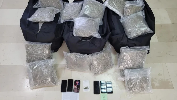 Vinin nga kufiri shqiptar, sekuestrohen mbi 81 kg marijuanë