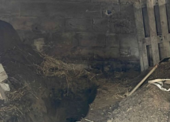 Kjo është gropa, ku ‘u varros’ Pëllumb Meta pasi u vra nga fëmijët