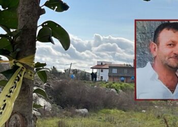 Vrasja e Pëllumb Metës/ Pas vajzës, arrestohen edhe djemtë e viktimës