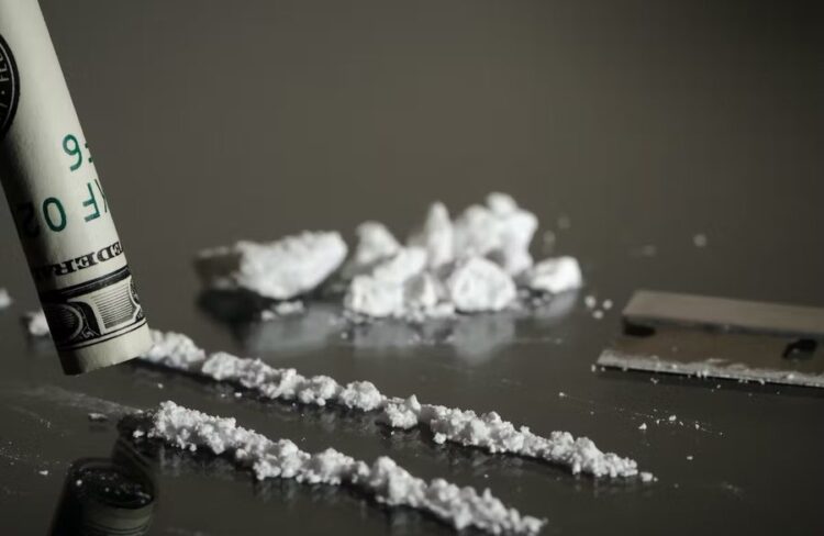 Trafikonin kokaine, dënohet familja shqiptare/ SKY e nxori zbuluar