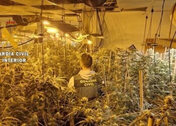 Gjendet plantacioni me drogë, kapen dy shqiptarë në Spanjë