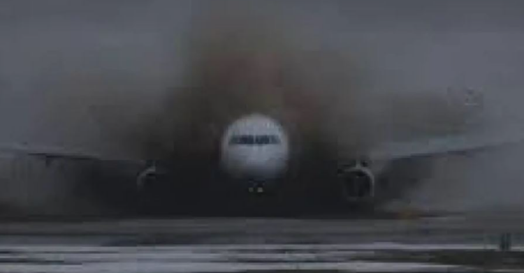 VIDEO/ Avioni bën ulje të vështirë, 179 pasagjerë në panik