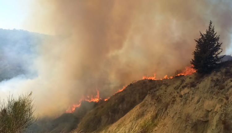 Zjarr në fshatin Kërkovë të Vlorës, detajet e para