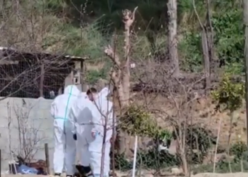 Misteri i vrasjes së Pëllumb Metës, dyshimet se vajza u ndihmua nga…