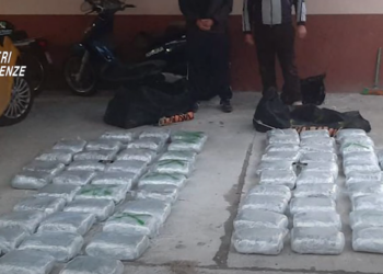 VIDEO/ Të përfshirë në trafikun e kokainë, 7 shqiptarë të arrestuar