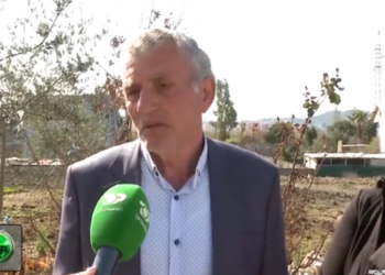 “Nëna i nxiti të vrisnin babanë”, vëllai i Pëllumb Metës: Nipi i madh është i dhunshëm…