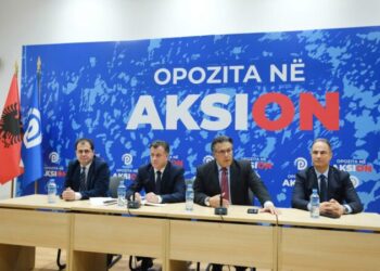 Protesta e 20 shkurtit, Paloka jep udhëzimet në Këshillin Kombëtar: Mos zhgënjeni demokratët