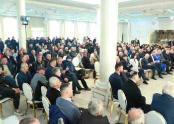 Protesta e 20 shkurtit, Bardhi: Reagim i qytetarëve kundër…