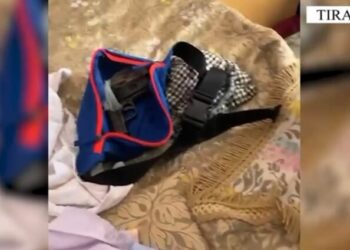 Kapet në banesë me armë dhe jelek antiplumb, arrestohet 62-vjeçari