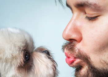 Mjekra e burrave është më e pistë se qimet e qenve