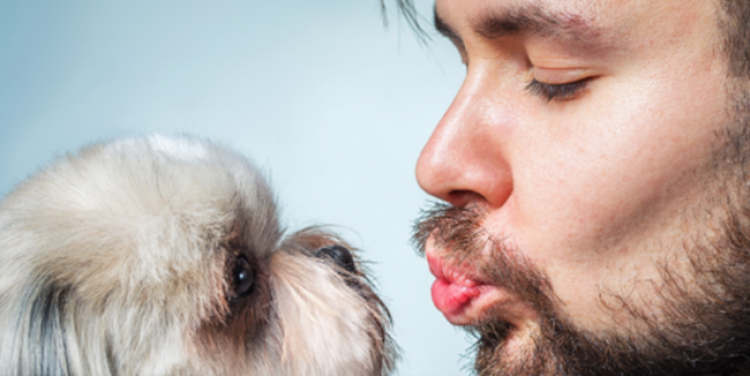 Mjekra e burrave është më e pistë se qimet e qenve